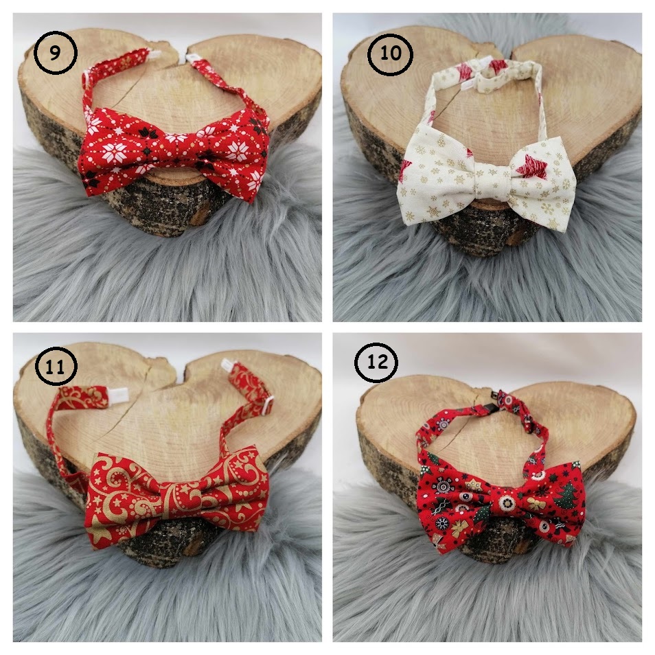 Nœud papillon – Image 4