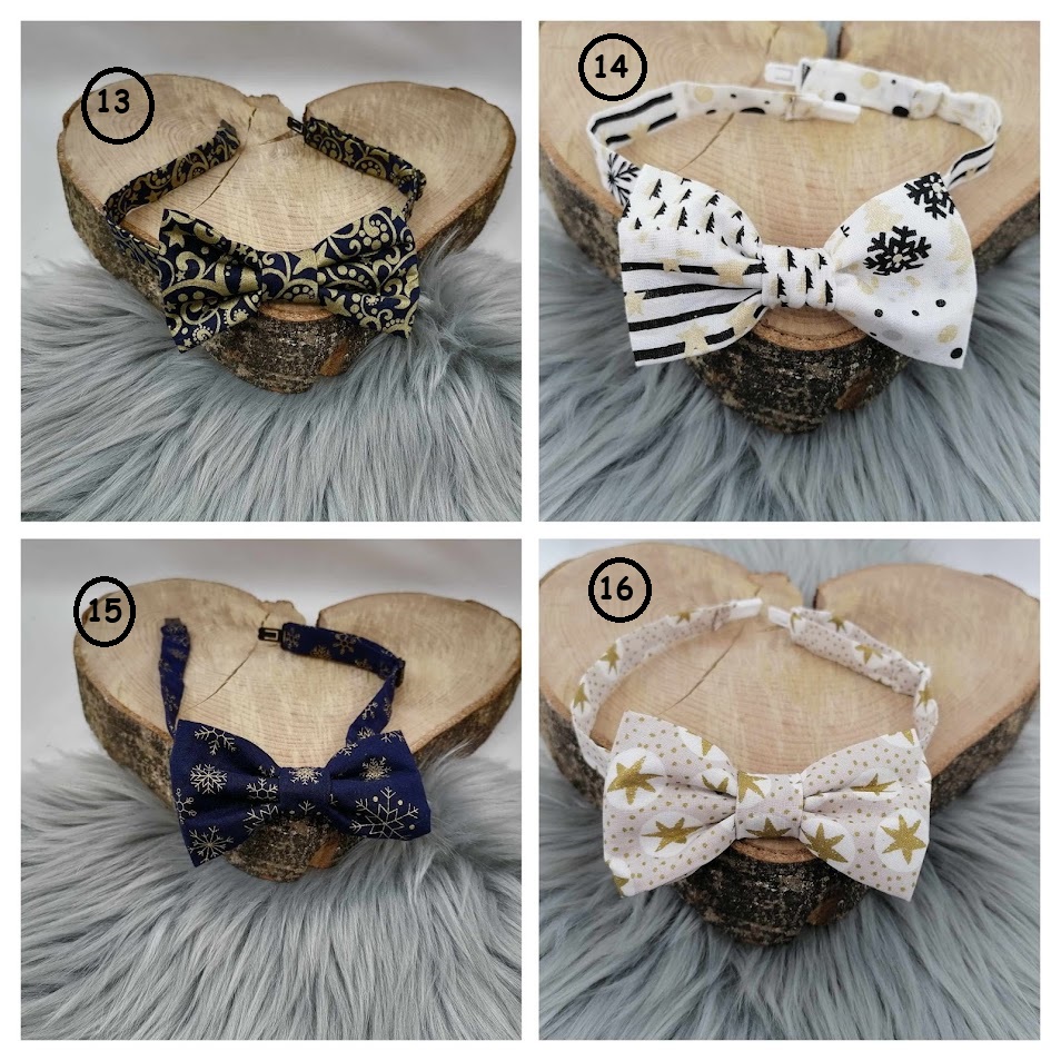 Nœud papillon – Image 5